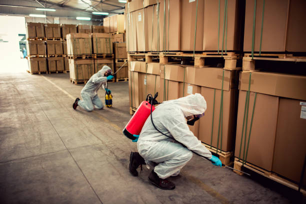  Craigsville, WV Pest Control Pros