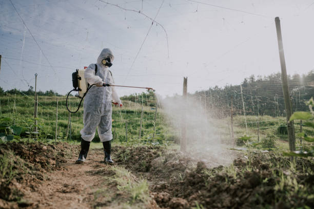 Best Pest Control Near Me  in Craigsville, WV