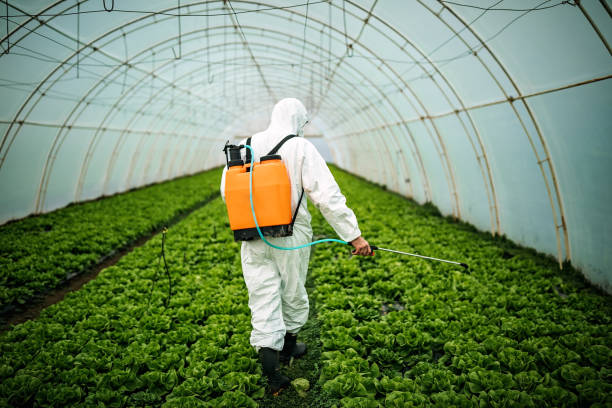 Best Emergency Pest Control  in Craigsville, WV