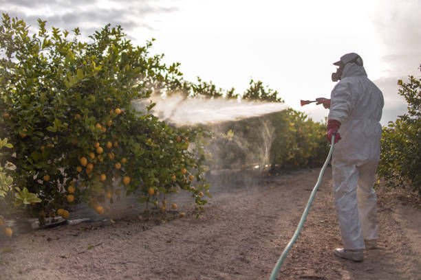 Best Affordable Pest Control Services  in Craigsville, WV