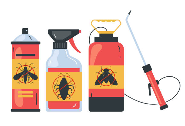 Best Spider Control Near Me  in Craigsville, WV